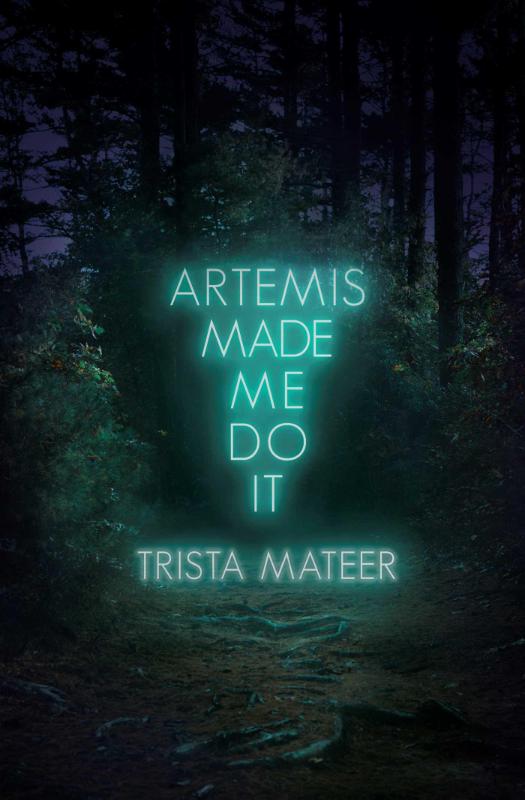 Artemis Made Me Do It - De Dondersteen