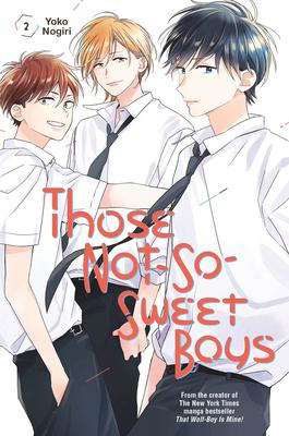 Those not-so-sweet boys vol 02 - De Dondersteen