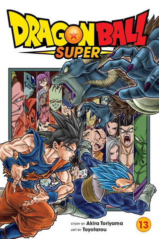 Dragon Ball Super, Vol. 13 - De Dondersteen