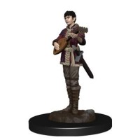 D_D_Icons_of_the_Realms__Premium_Painted_Figure___Half_Elf_Bard_Female