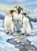 Penguin_Family__350_