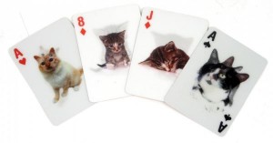 3D_Speelkaarten___Cat