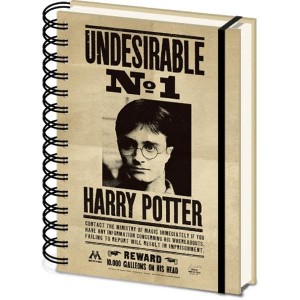 Harry_Potter_Sirius___Harry___A5_3D_Lenticular_Notitieboek