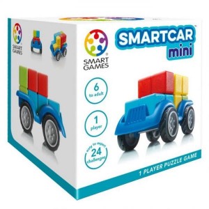 Smartcar_Mini