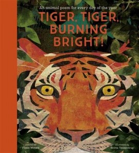 Tiger__tiger__burning_bright_